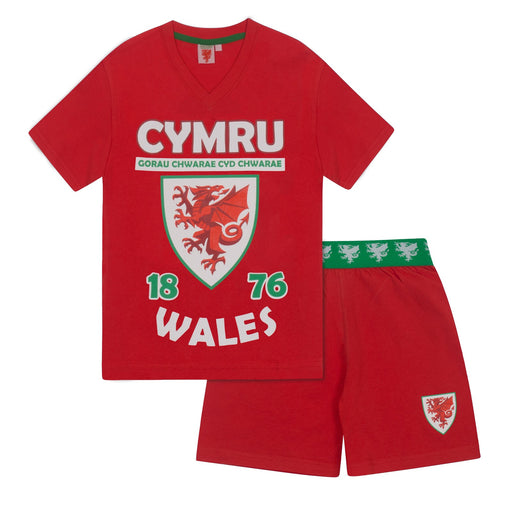 Kids and Baby Welsh Clothing