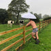 Fat Cow Mens Boxer Shorts by Oddballs® - Giftware Wales