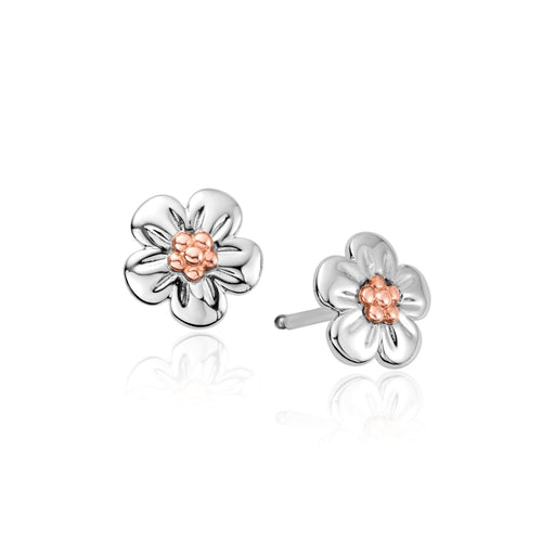 Forget Me Not Earrings by Clogau® - Giftware Wales