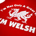 Great Cook - Welsh Dragon Apron - Giftware Wales
