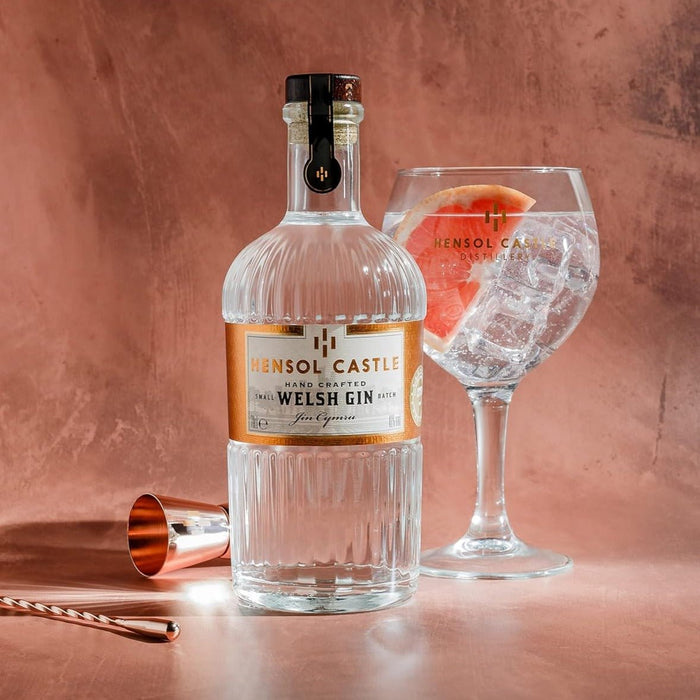 Hensol Castle Welsh Dry Gin - Giftware Wales