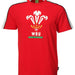 Official Wru Mens Welsh T-Shirt - Wru Feathers - Giftware Wales