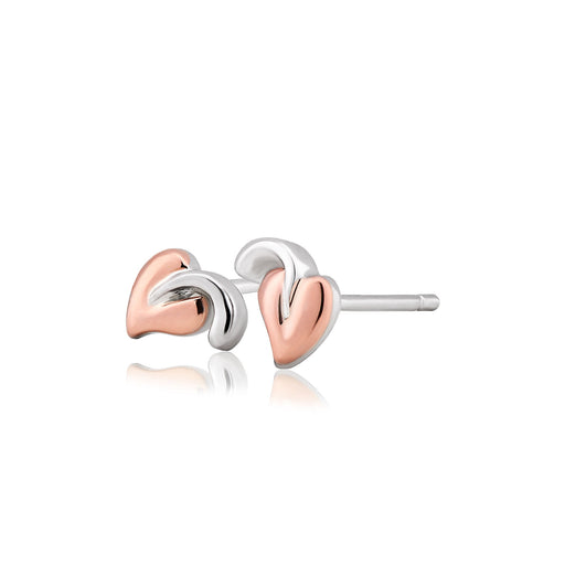 Tree of Life Stud Earrings by Clogau® - Giftware Wales