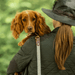 Tweedmill Rolled Tweed Dog Lead, Olive Green - Giftware Wales