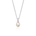 Welsh Beachcomber Pendant - by Clogau® - Giftware Wales