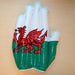Welsh Blow Up Hand - Giftware Wales