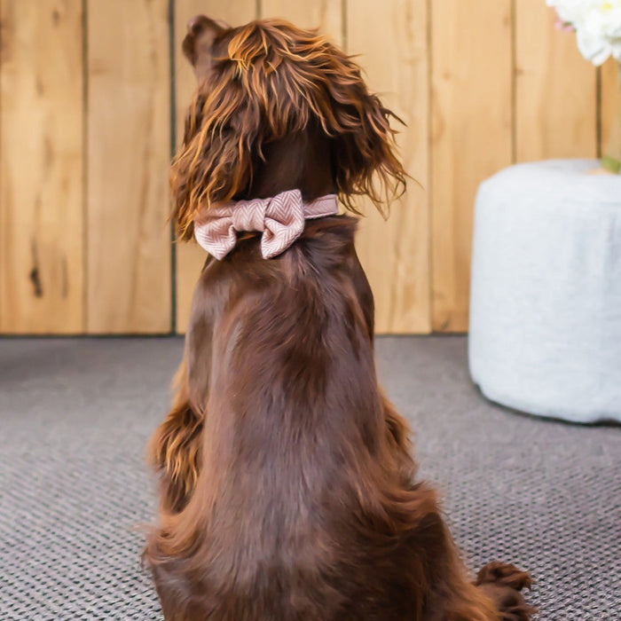 Tweedmill Rolled Tweed Dog Bow Tie, Dusky Pink
