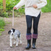 Tweedmill Rolled Tweed Dog Lead, Dusky Pink