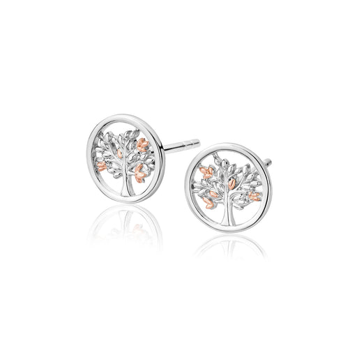 Tree of Life Stud Earrings by Clogau®