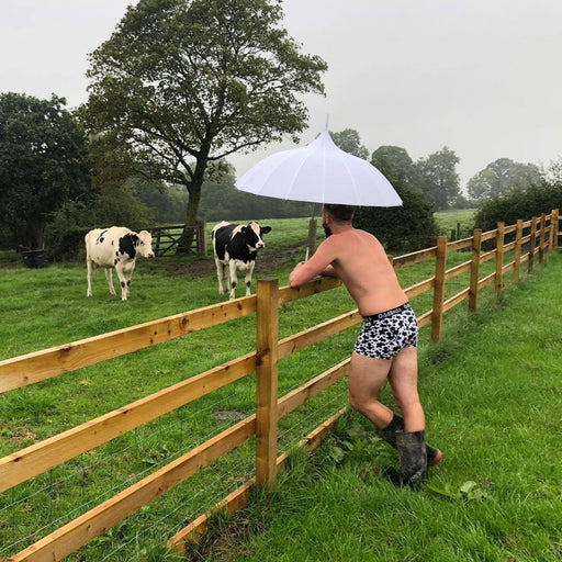 Fat Cow Mens Boxer Shorts by Oddballs®