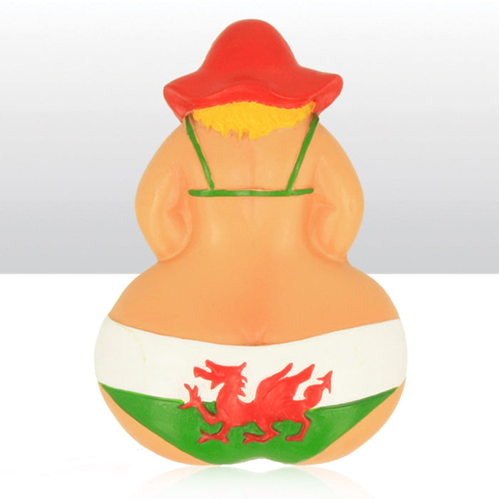 Wales Dragon Bikini Bum Resin Magnet 0024