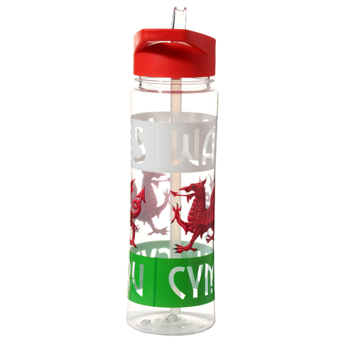 550ml Water Bottle Welsh Dragon Wales (Cymru) Souvenir 006