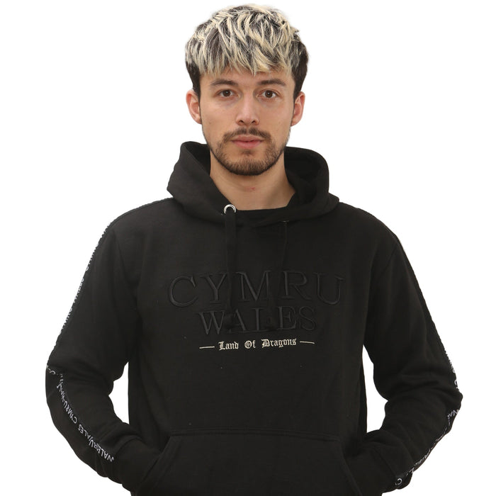 New Land of Dragons Hoodie