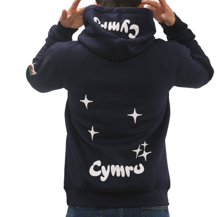 Puff Print Welsh Hoodie