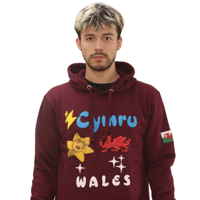 Puff Print Welsh Hoodie