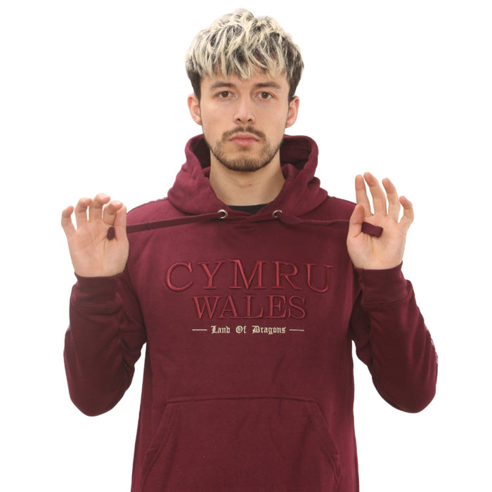 New Land of Dragons Hoodie
