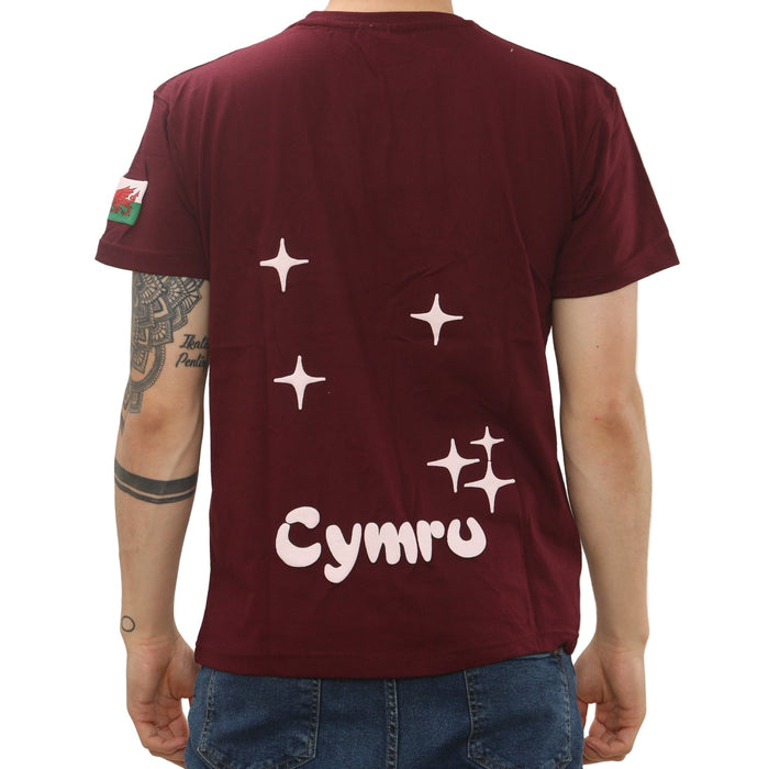 Puff Print Welsh T-Shirt