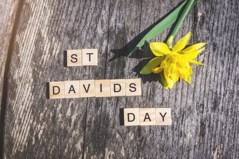 Wales St Davids Day clothing and Accessories