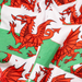 Exclusive Welsh Flag Ladies Thong - OddBalls®