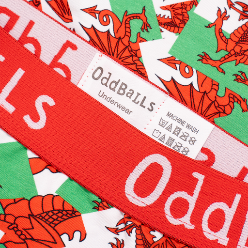 Exclusive Welsh Flag Boxer Shorts by Oddballs®