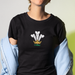 Modern Welsh Feathers - Women's T-Shirt
