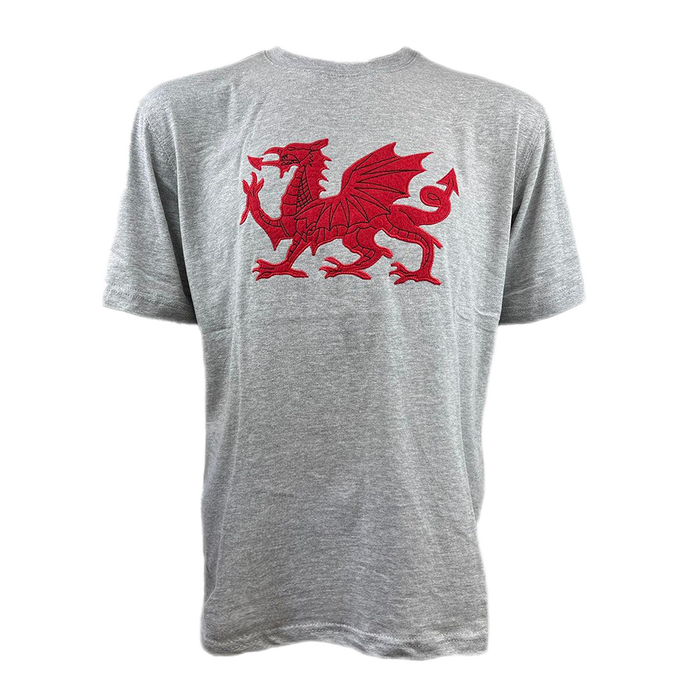 Applique Dragon T-Shirt