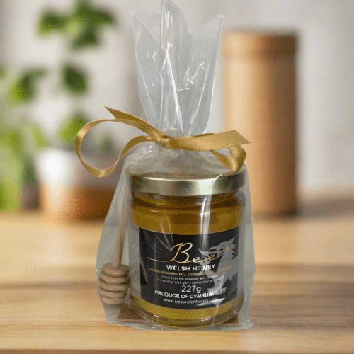 Bee Welsh Honey, Gift Wrapped Honey with Dipper, 227g - Giftware Wales