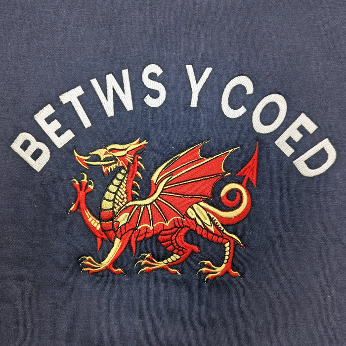 Betws-Y-Coed T-Shirts