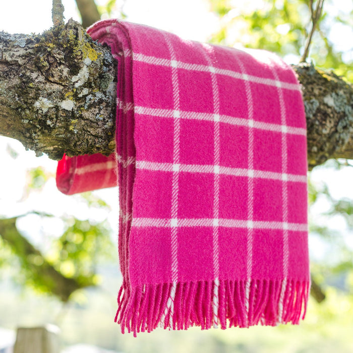 Chequered Check Pink - Pure New Wool Blanket by Tweedmill® - Giftware Wales