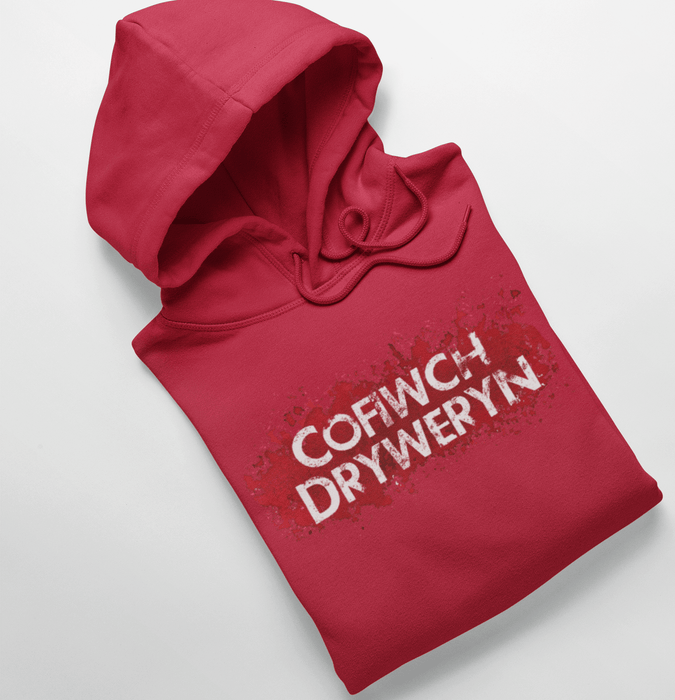 Cofiwch Dryweryn Mens Hoodie (Colour Choice) - Giftware Wales