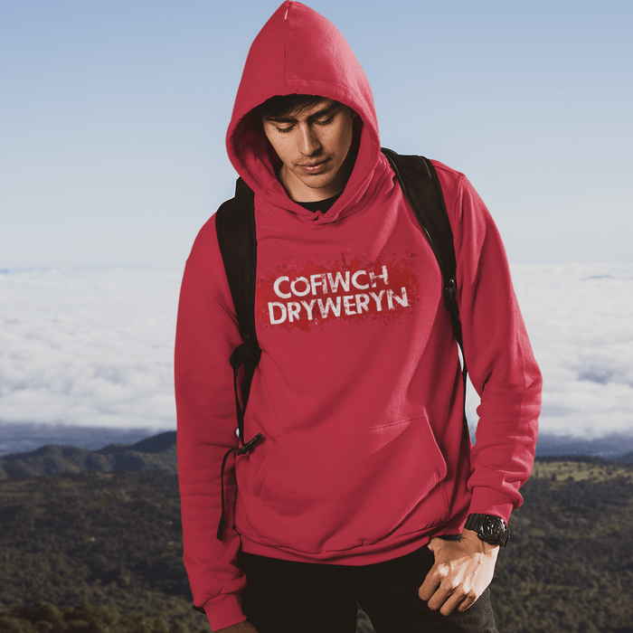 Cofiwch Dryweryn Mens Hoodie (Colour Choice) - Giftware Wales