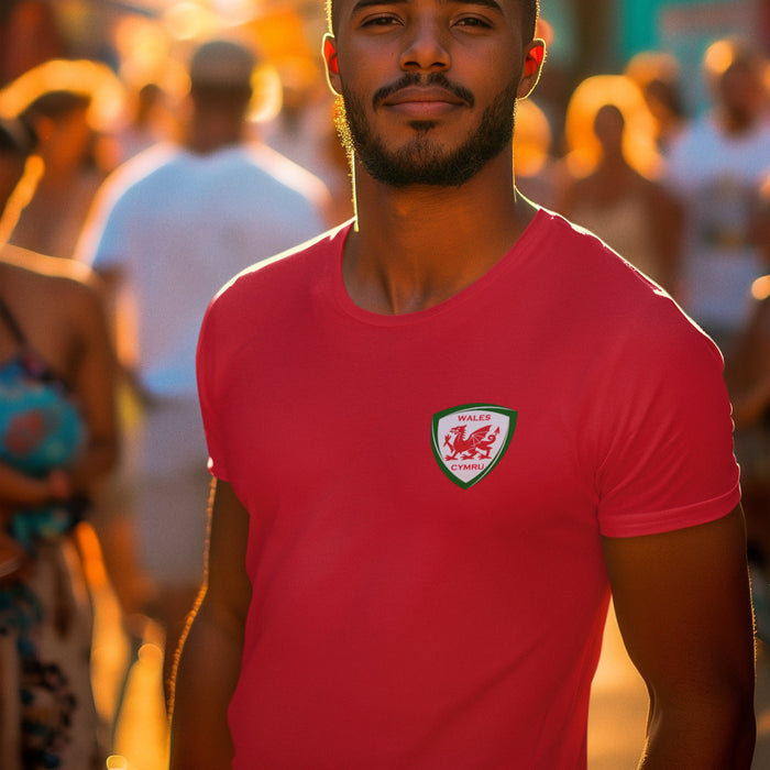 Cymru Shield Football T Shirt - Organic - Giftware Wales