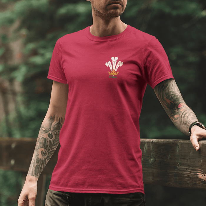 Cymru Welsh Feathers - Rugby T-Shirt - Giftware Wales