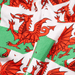 Exclusive Teens/ Kids Welsh Flag Boxer Shorts by Oddballs® - Giftware Wales