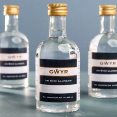 Gower Gin Company, Gower Gin 43%, 5cl - Giftware Wales