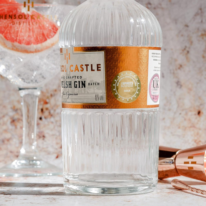 Hensol Castle Welsh Dry Gin - Giftware Wales