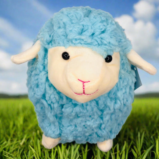 Cuddly Welsh Sheep