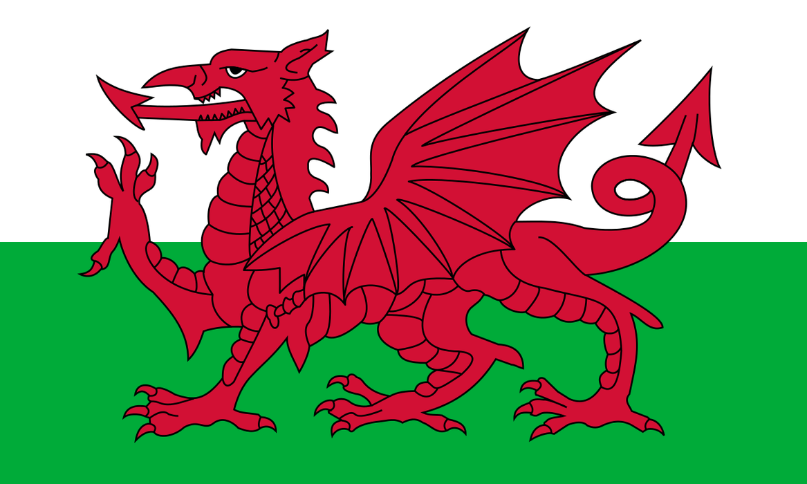 Welsh flag 9ft X 6ft large 