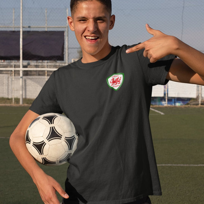 Kids Welsh Shield Sports T-Shirt - Giftware Wales