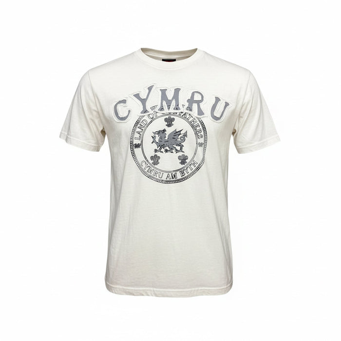 Land Of My Fathers T-Shirt