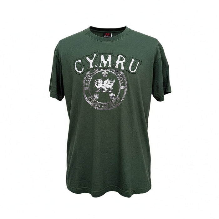 Land Of My Fathers T-Shirt