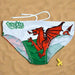 Mens Welsh Flag Tackle Swim Trunks - Giftware Wales