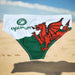 Mens Welsh Flag Tackle Swim Trunks - Giftware Wales