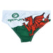 Mens Welsh Flag Tackle Swim Trunks - Giftware Wales