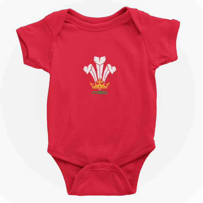 Modern Welsh Feathers - Baby Grow - Giftware Wales