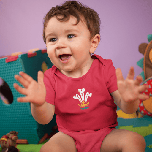 Modern Welsh Feathers - Baby Grow - Giftware Wales