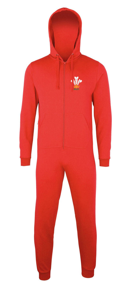 Modern Welsh Feathers - Onesie/ Hoodie - Giftware Wales