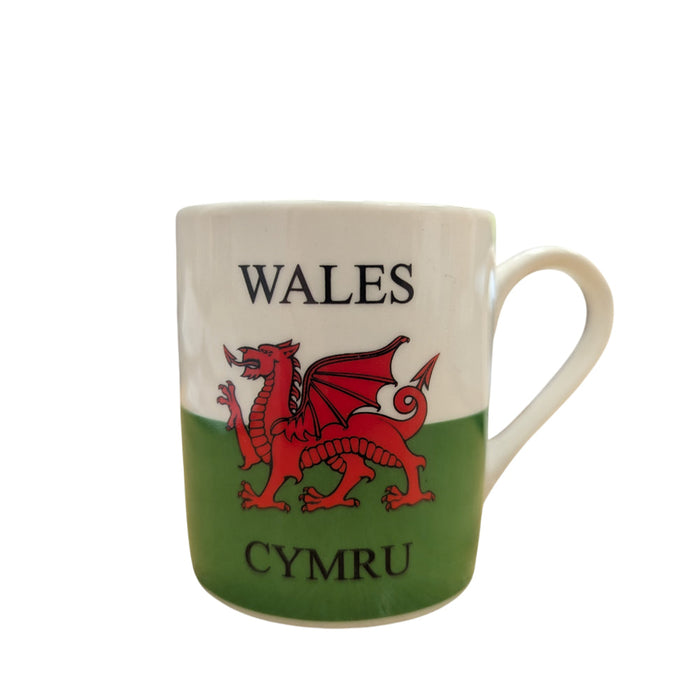 Wales Flag Mini Mug