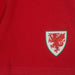 Official FAW Boys Pyjamas - Giftware Wales