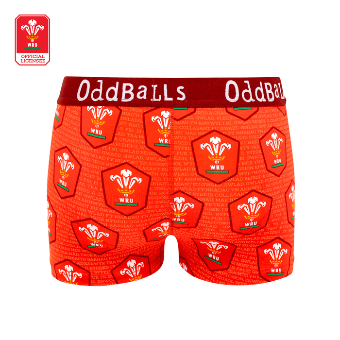 Official WRU Ladies Boxer Shorts - OddBalls® Home - Giftware Wales